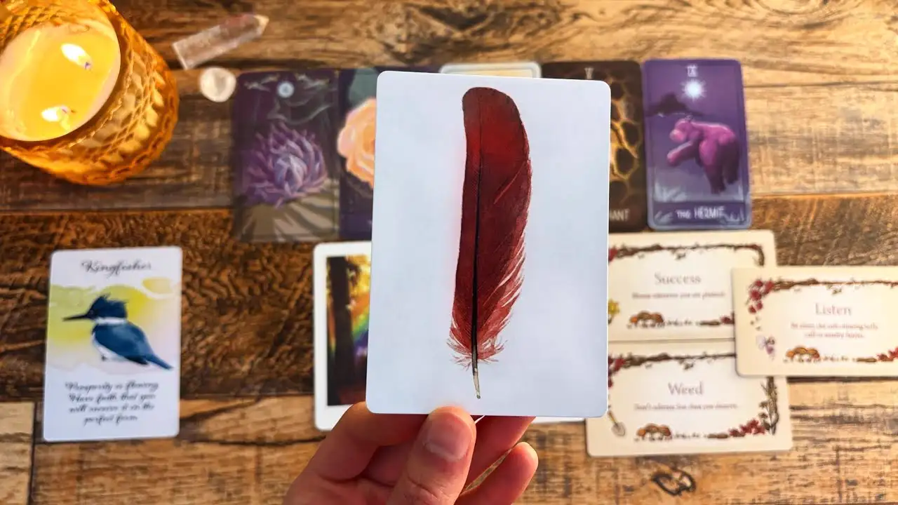 Meant To Find You Before You Go To Sleep!✨